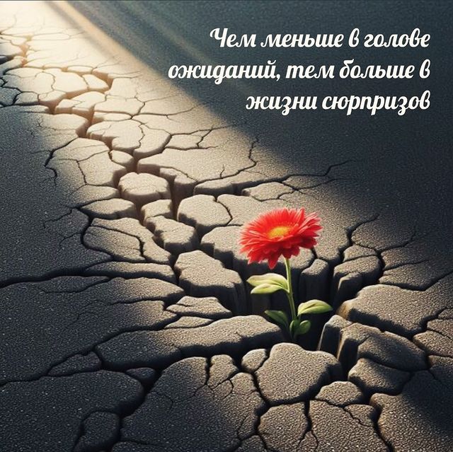 n_mary90 в LOOKY. #нравитсямне,#счастье_есть,#мемы😂,#смех,#смешно,#котыприколы,#приколы,#фразы,#ожидании,#умныефразы. Ожидания 💭 #нравитс...
