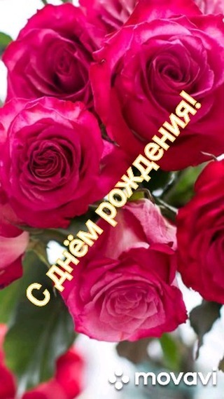 conopada в LOOKY. . null