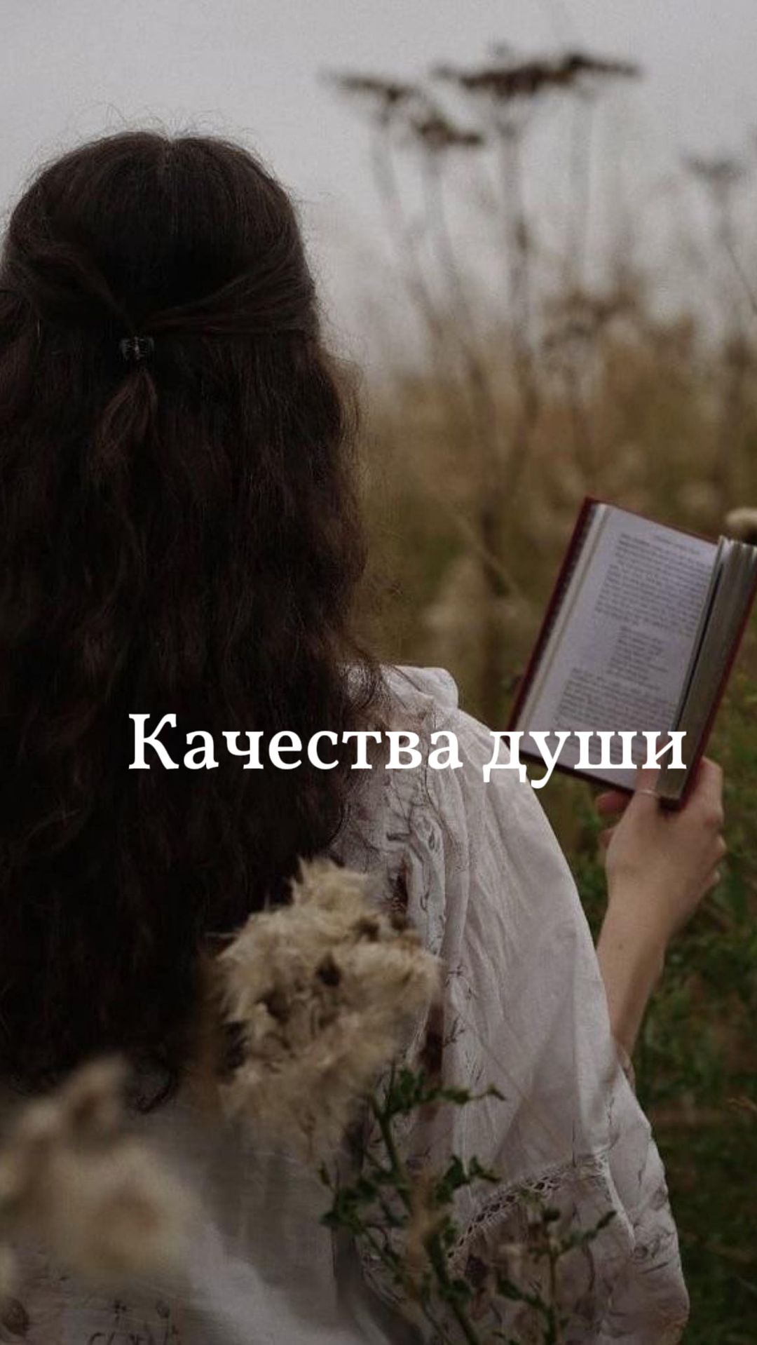 mira.soul_ в LOOKY. . ஜ═══۞═══ஜ۩۞۩ஜ═══۞═══...