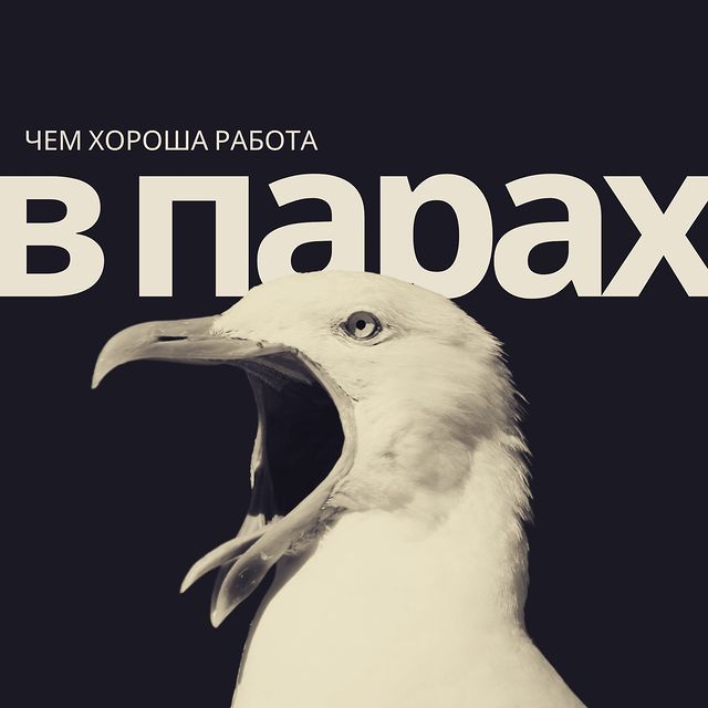 teachberry.esl в LOOKY. . Пример: девушке неко...