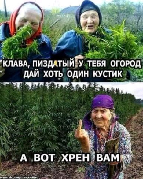 crimeancrim в LOOKY. . https://www.facebook...