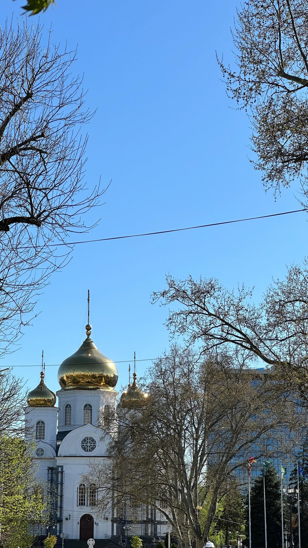 Фотограф Сочи Красная поляна гид in LOOKY