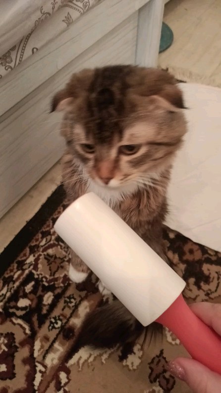 durova_oksana в LOOKY. . Скотчевая депиляция