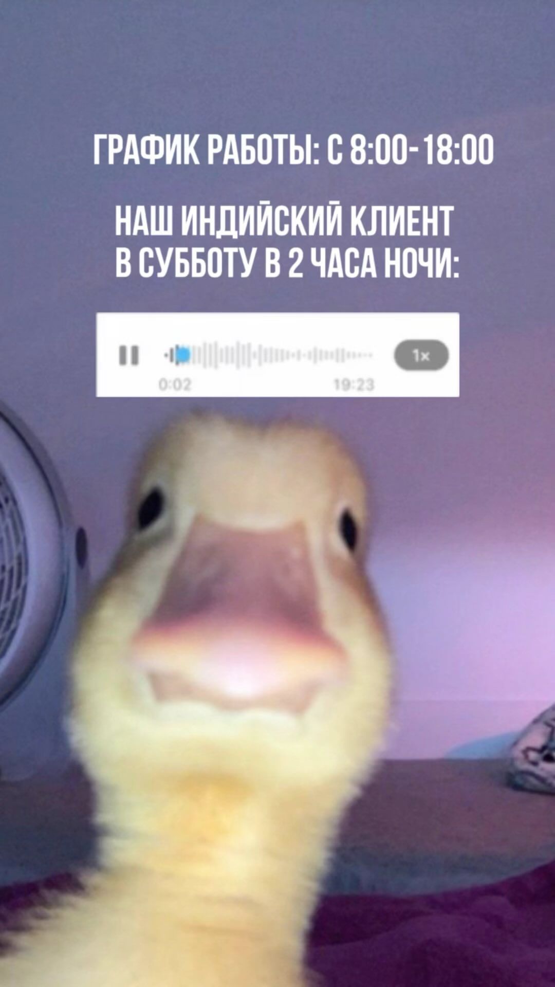 marketycom в LOOKY. #озон,#бизнеснавайлдберриз,#маркетплейс,#Вайлдберриз,#товарныйбизнес,#саморазвитие,#товардлявайлдберриз,#разбор,#маркетплейсы. Мы ценим всех клиент...