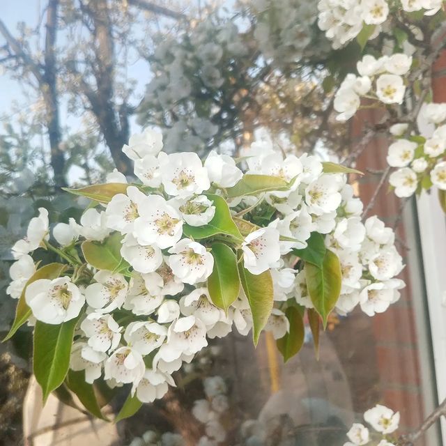 olgashursha в LOOKY. . Просто весна 🌱