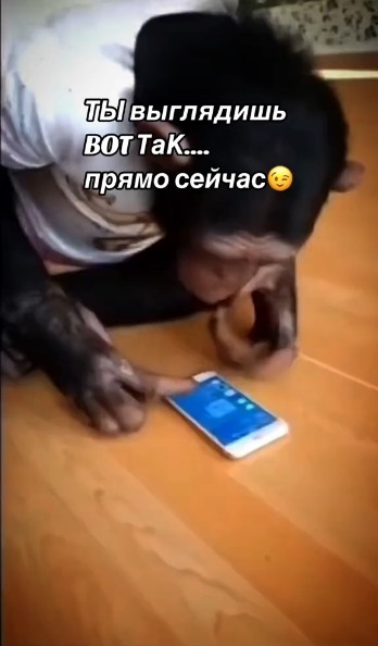 Ellen_45 in LOOKY. . 💥Возможность удален...