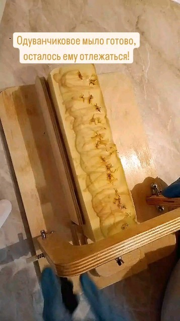 soap_lorka в LOOKY. #мылоизодуванчиков,#мылодлялуши,#мылодлятела,#любимоемыло,#купитьмыло,#ручнаяработа. #мылоизодуванчиков #...