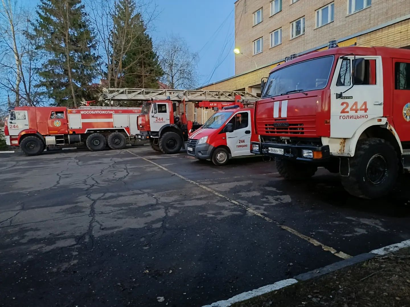 young_firefighter_911 в LOOKY. . null