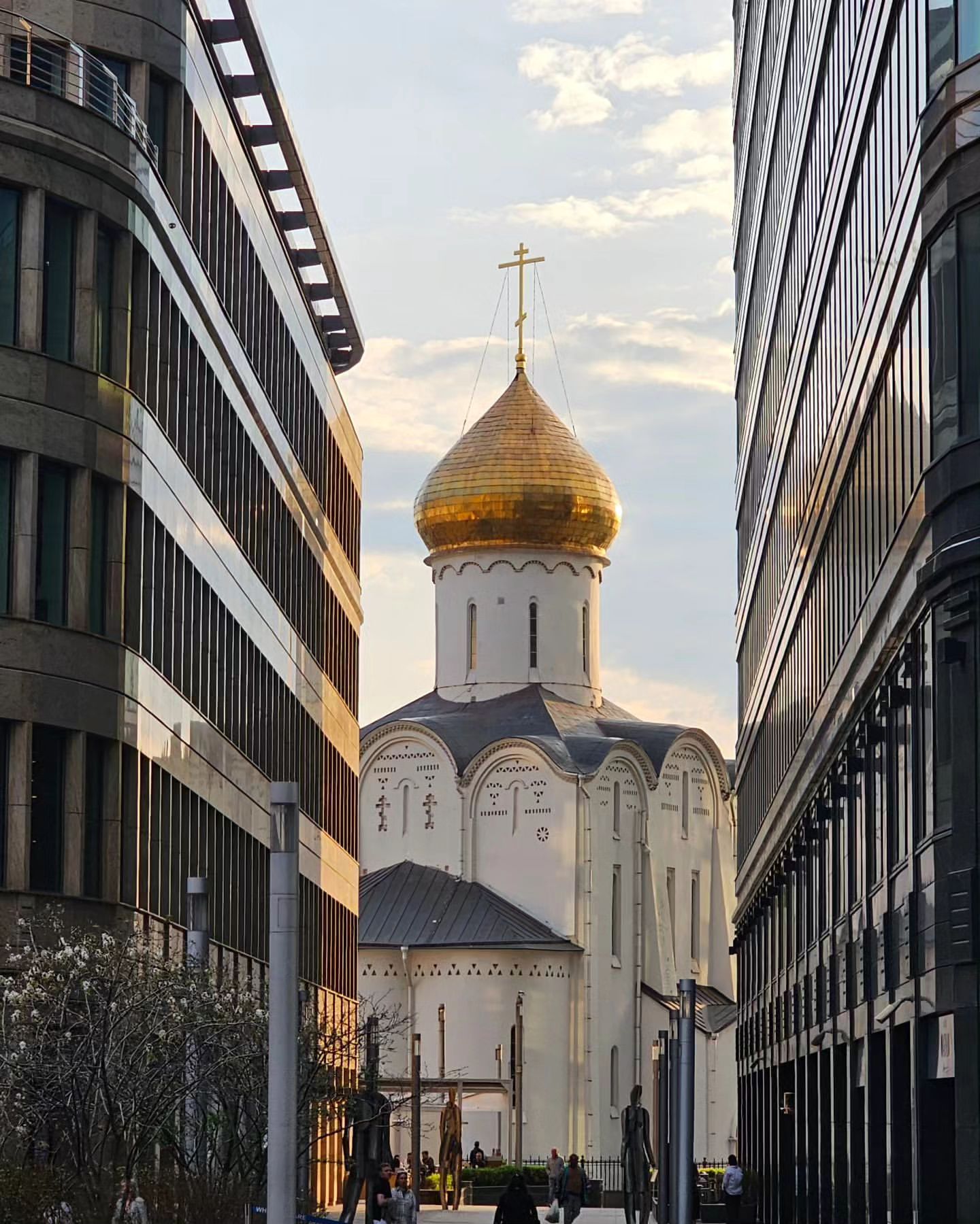 kristi_sadovod_ogorodnik в LOOKY — фото 4
