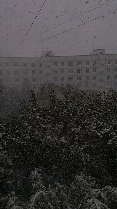 lizashevchenko2000 в LOOKY. . 08.05.2024, ❄️🌿❄️🌱...