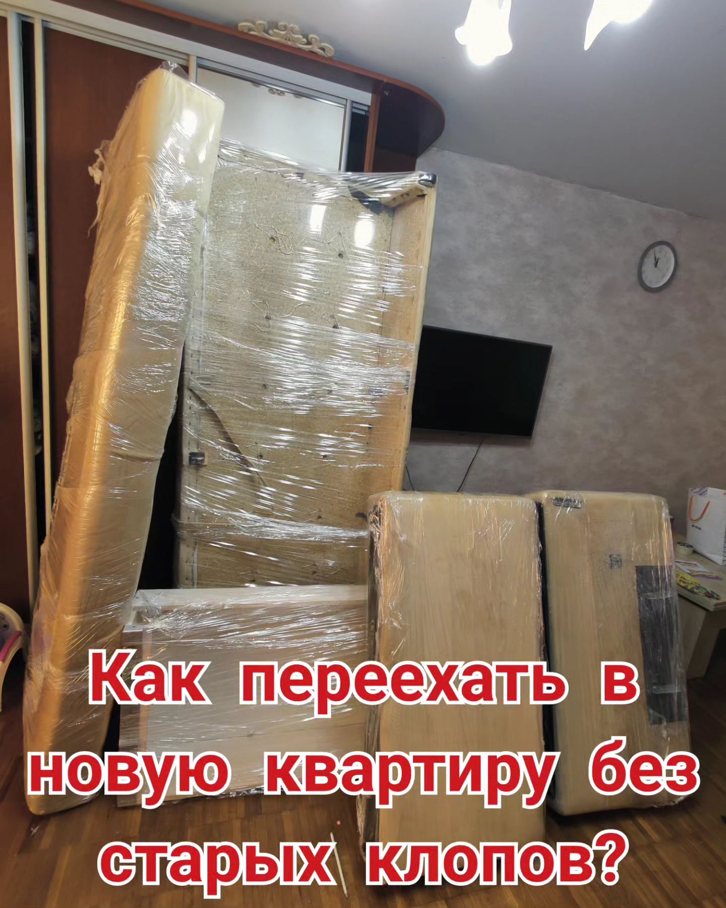 klopservis в LOOKY. #клопы#клопсервис#парад#праздники#столица#весна#клопымосква#погода#однапобеда##клопыспб#авиация#краснаяплощадь#клопыказань#клопыастана#небо#дезинсекция#уничтожениенасекомых#циклон#арктика#препаратыотклопов#клопыдушанбе#культура#земля#плазма#магнитнаябуря#клопыекб#дождь#клопыуфа#телеграмм. Всем трям!

Время от...