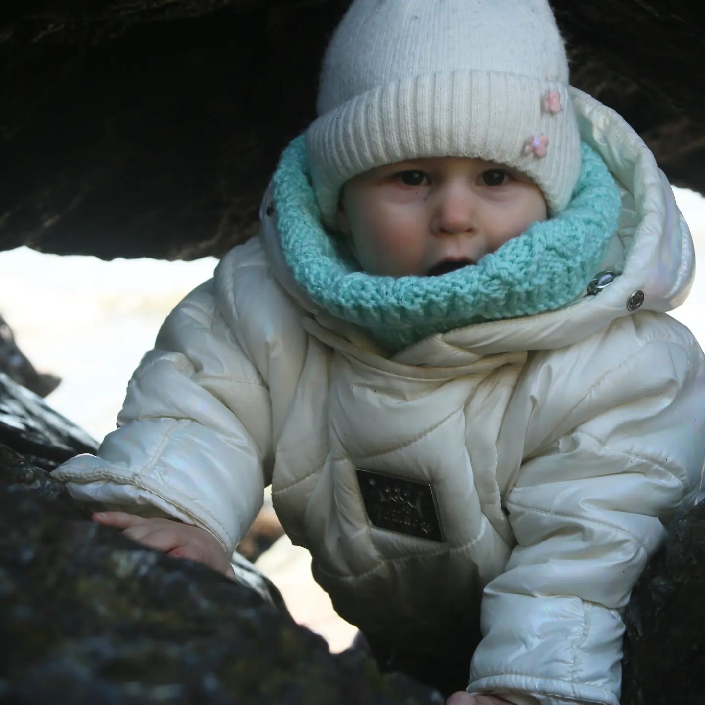 family_adventurers3 в LOOKY. . null
