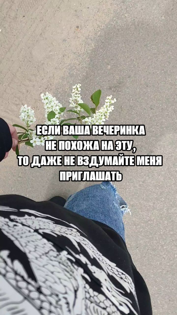 katarinaabramson в LOOKY. . null