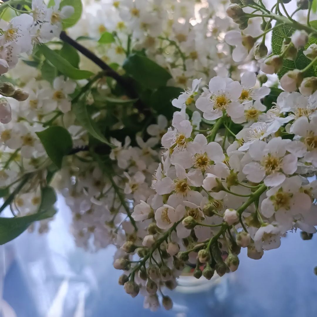Аууууу! Людиии, вы ещё тут? У кого осталось желание и мотивация заходить в нельзяграм? 

Вписался в новый проект по продвижению. Кажется меня снова будет много на всех площадках😄 

Упор делаю на вышивку, поэтому этот аккаунт будет превращаться в жизненно-вышивальный😁🥰