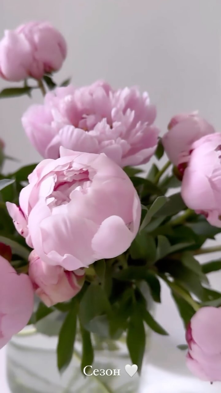 anna_gina в LOOKY. . null