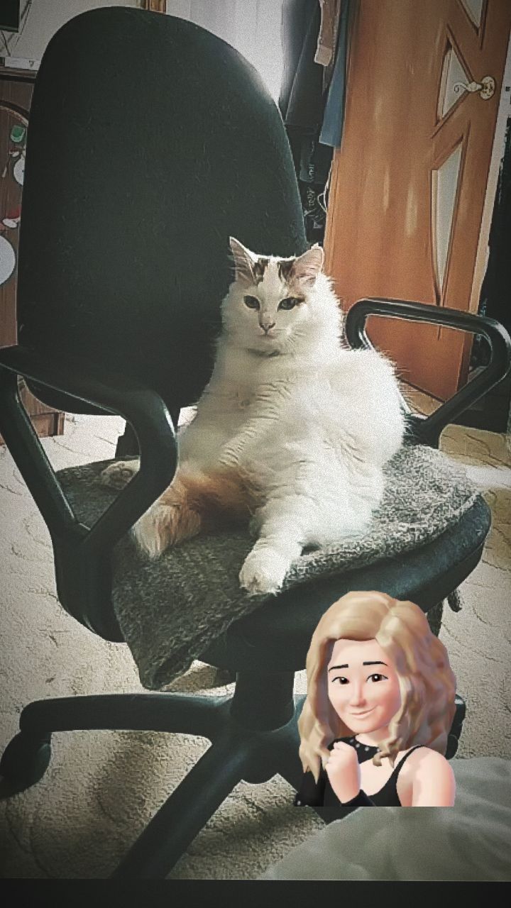 littleemonsterrrr в LOOKY. . Со мной воюет сатана