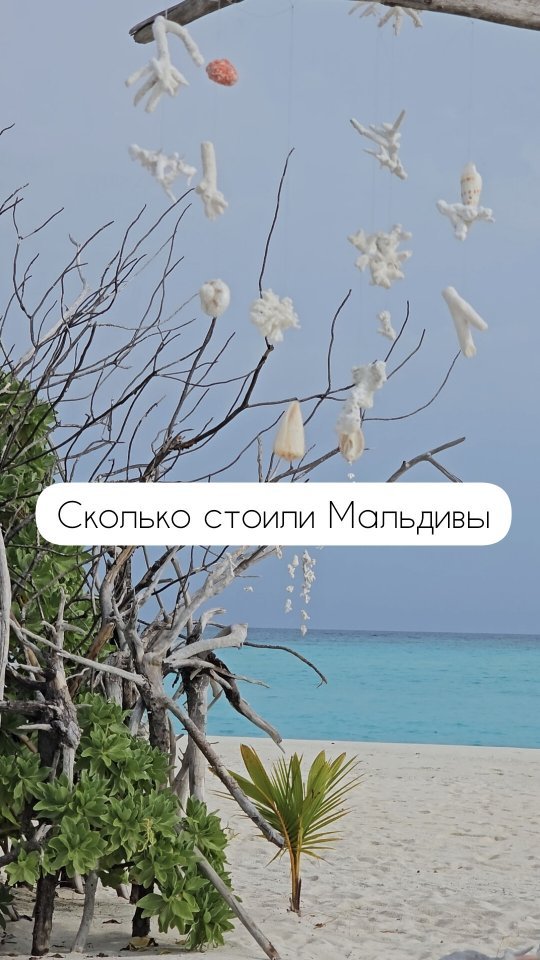 horoshayasveta в LOOKY. . null