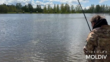 dream_fishing_kot_kitty in LOOKY