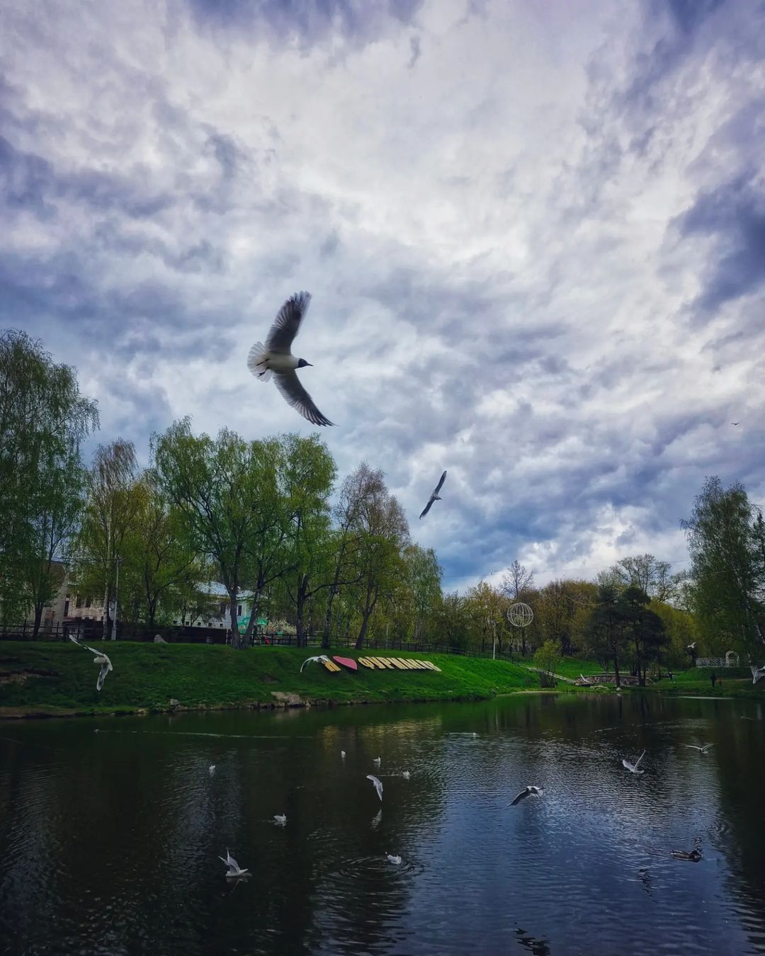 foto.furmanov.plus