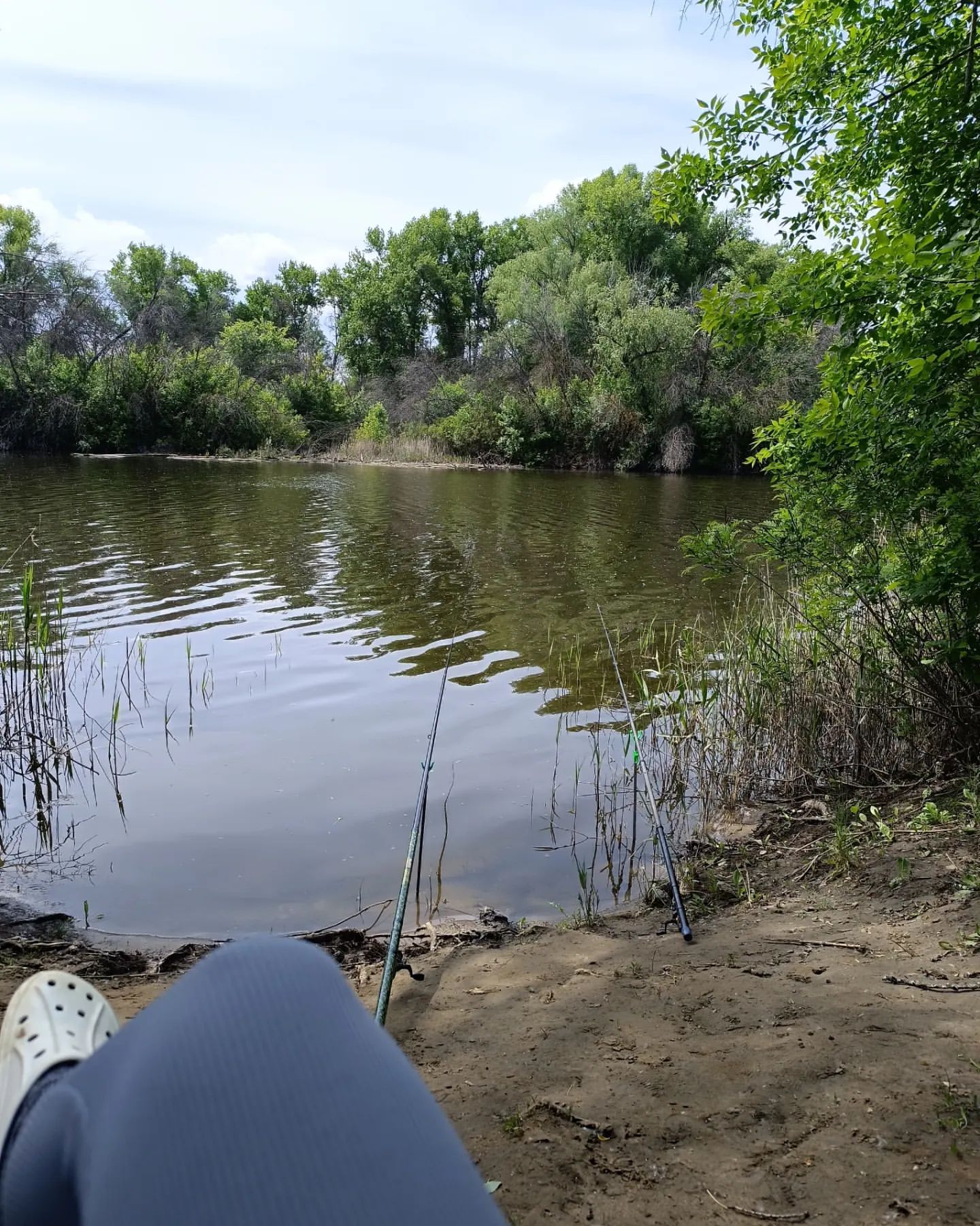 Ничто не приносит такого умиротворения, как отдых на природе в выходной день! 🌿🦟🌤
