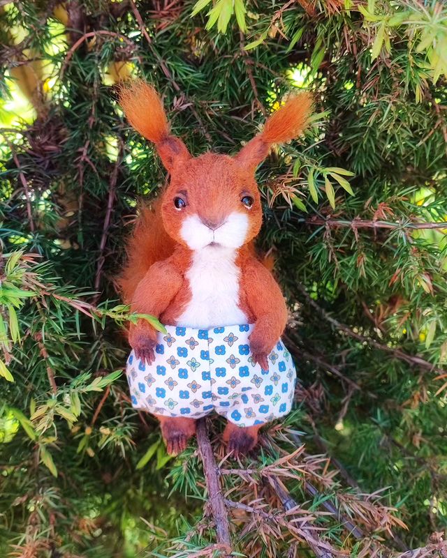 hvostilda_teddy в LOOKY. #тедди,#белочка,#теддибелочка,#teddy,#белка,#теддибелка,#подарок. Белочка в поиске дом...