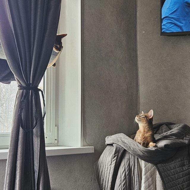 sofi_zeml в LOOKY. . Редкие моменты нахож...