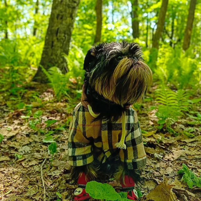 tkachenko_albert в LOOKY. . null