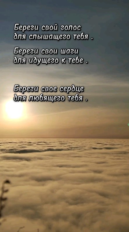 romaha_lisss в LOOKY. #ınstagood,#instagram,#instagramreels,#instagood,#instagramers,#loveit,#loveislove,#loveyourself,#reels,#reelsinstagram,#likesforlike,#like,#music,#magic,#life,#love,#люблю,#люблютебя,#любовь,#инста,#инстаграманет,#туман,#море,#анапа,#сепдце,#цитата,#цитатадня. 🖤

#ınstagood #inst...