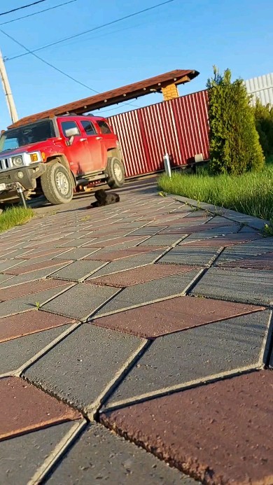 mstukalova в LOOKY. . null
