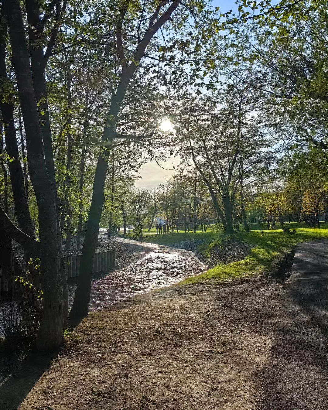 ori_jade_city в LOOKY — Вечер в городском парке