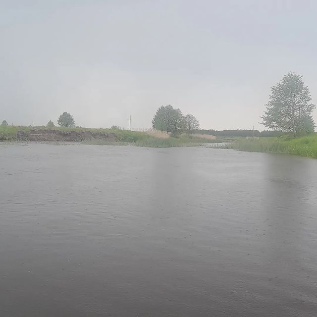 kuprinovi в LOOKY. . Р. Зах. Березина.