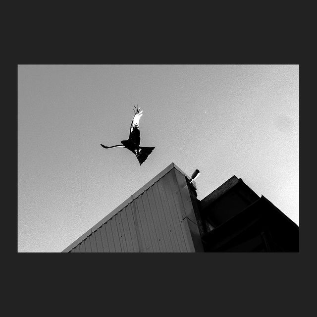 weristvlad в LOOKY. #photography,#streetphotography. Escape
.
.
.
#photog...