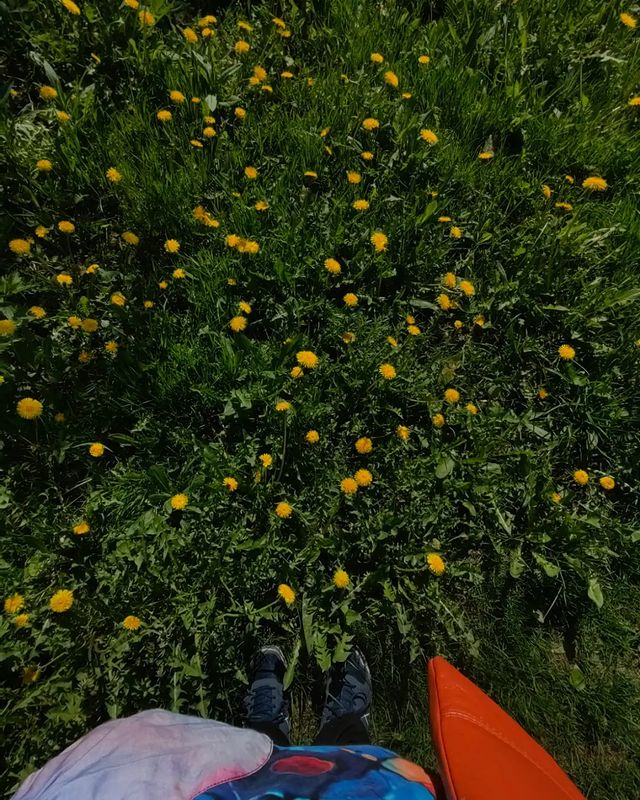 korolevaamargo в LOOKY. #весна,#spring,#sun,#sky,#nature,#dandelions,#dandelion,#naturephotography,#трава,#grass,#поле,#field,#moment,#moments,#life,#happy,#live. Весна, одуванчики
Sp...
