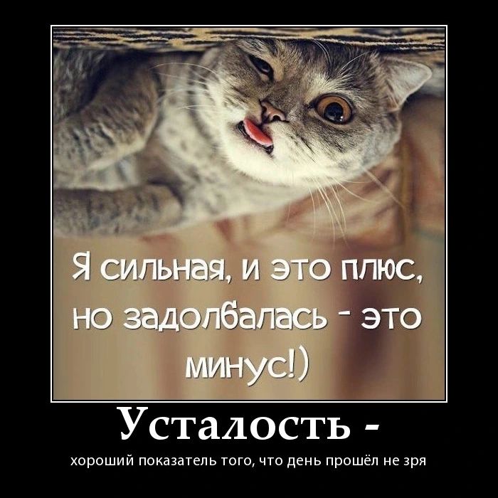 tatiana_esipova1990 в LOOKY — Мир 🌍 , в котором мы живем, очень выматывает. Он неблагодар