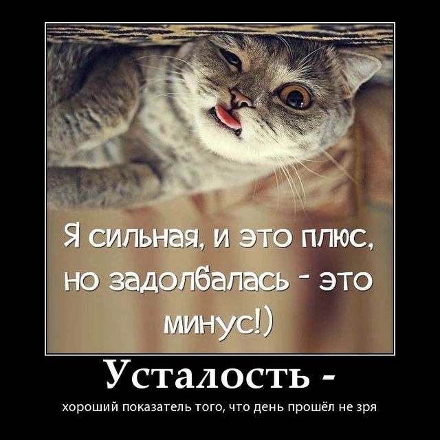 tatiana_esipova1990 в LOOKY. . Мир 🌍 , в котором м...