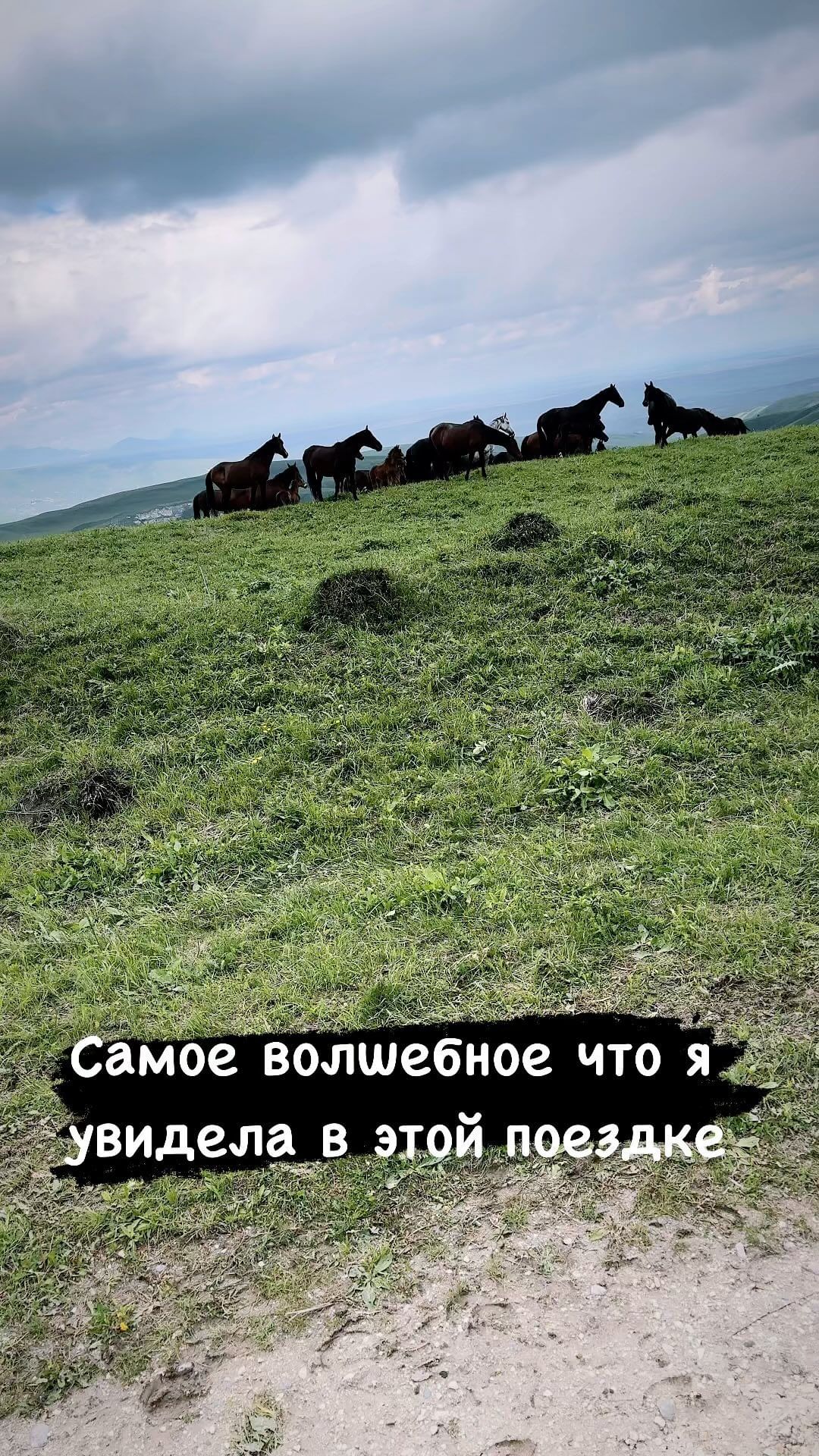 anstianity в LOOKY. . null