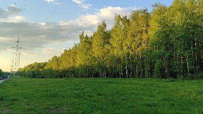 yanchik_patakova_ в LOOKY. #вечерниепокатушки,#парклосиныйостров,#глетовмоскве,#patakovastory. Мир вокруг нас прекр...