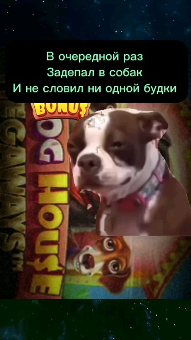 mikkiezglzb в LOOKY. #казиноонлайн,#казик,#слотыонлайн,#заносыказино,#казиноонлайн,#фриспины,#заносынедели. 400 FS 200% депозит ...