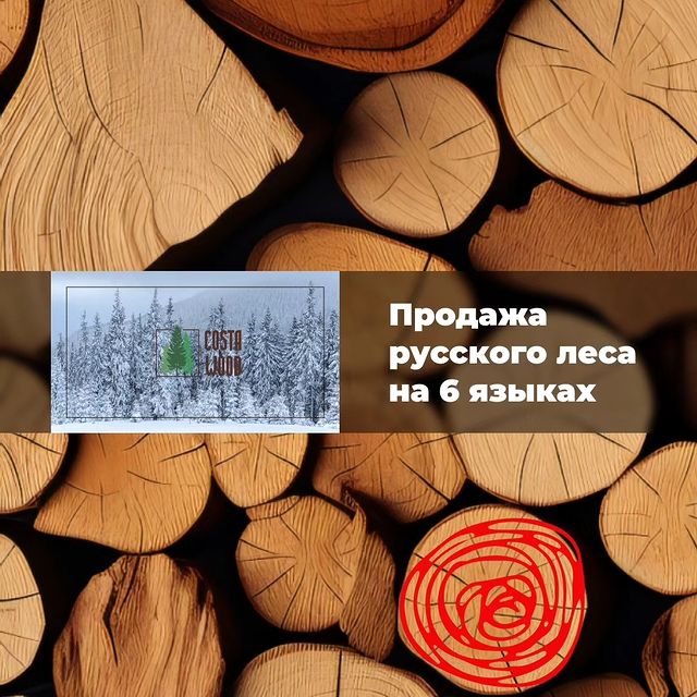 pitchdecks.ru в LOOKY. . После фиаско с КП, я...