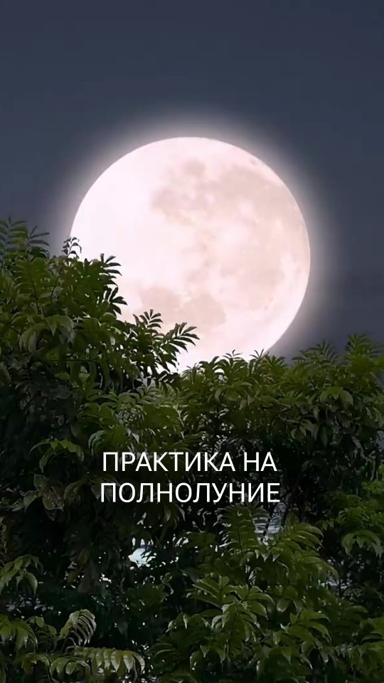 guzel_ivanova._ в LOOKY. #полнолуние,#практика,#природа,#гармония. Сегодня магическое в...