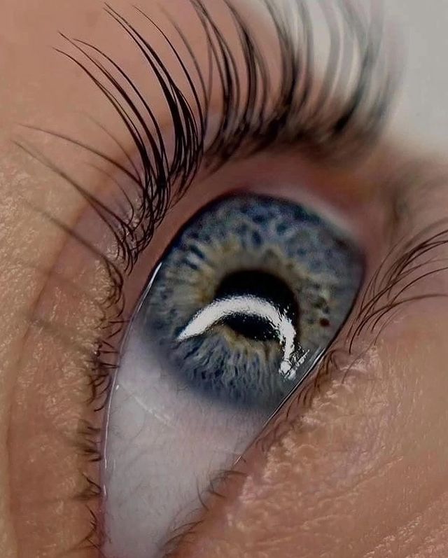 fortis_beautystudio в LOOKY. . КРАСОТА В ДЕТАЛЯХ
 
...