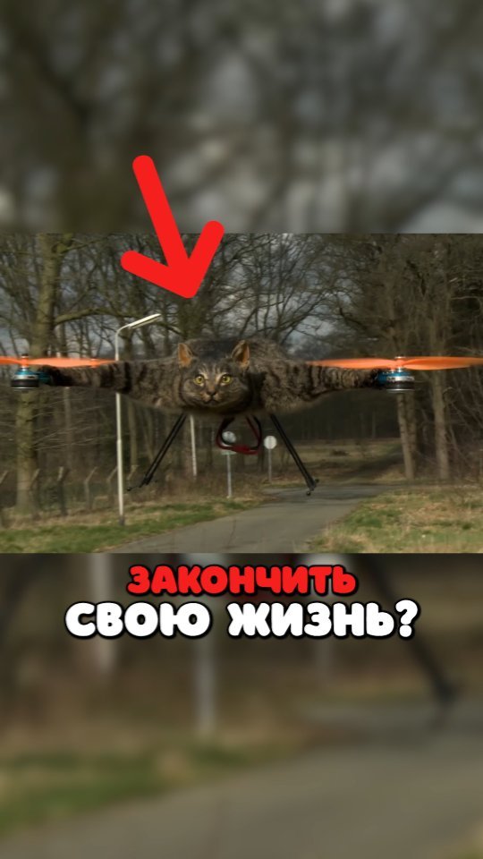 grb4w в LOOKY. . Вот, что можно сдела...