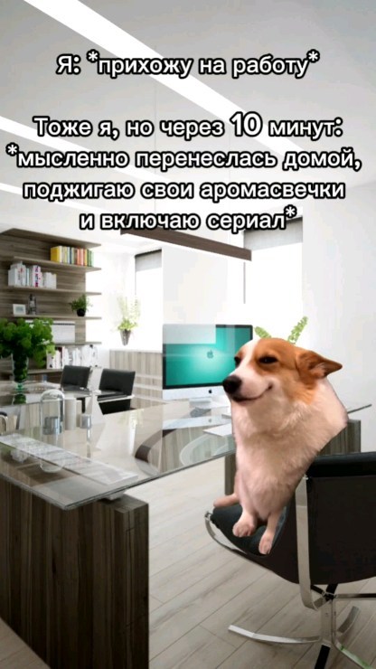mrs.smithxd в LOOKY. . Девочки, мы?