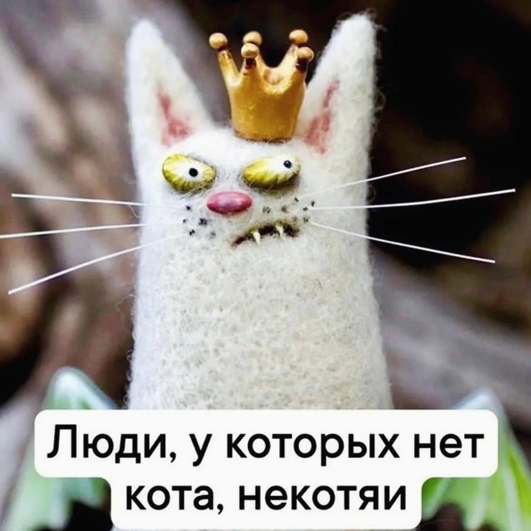 tantanastitch в LOOKY — А у тебя есть кот? 🐈