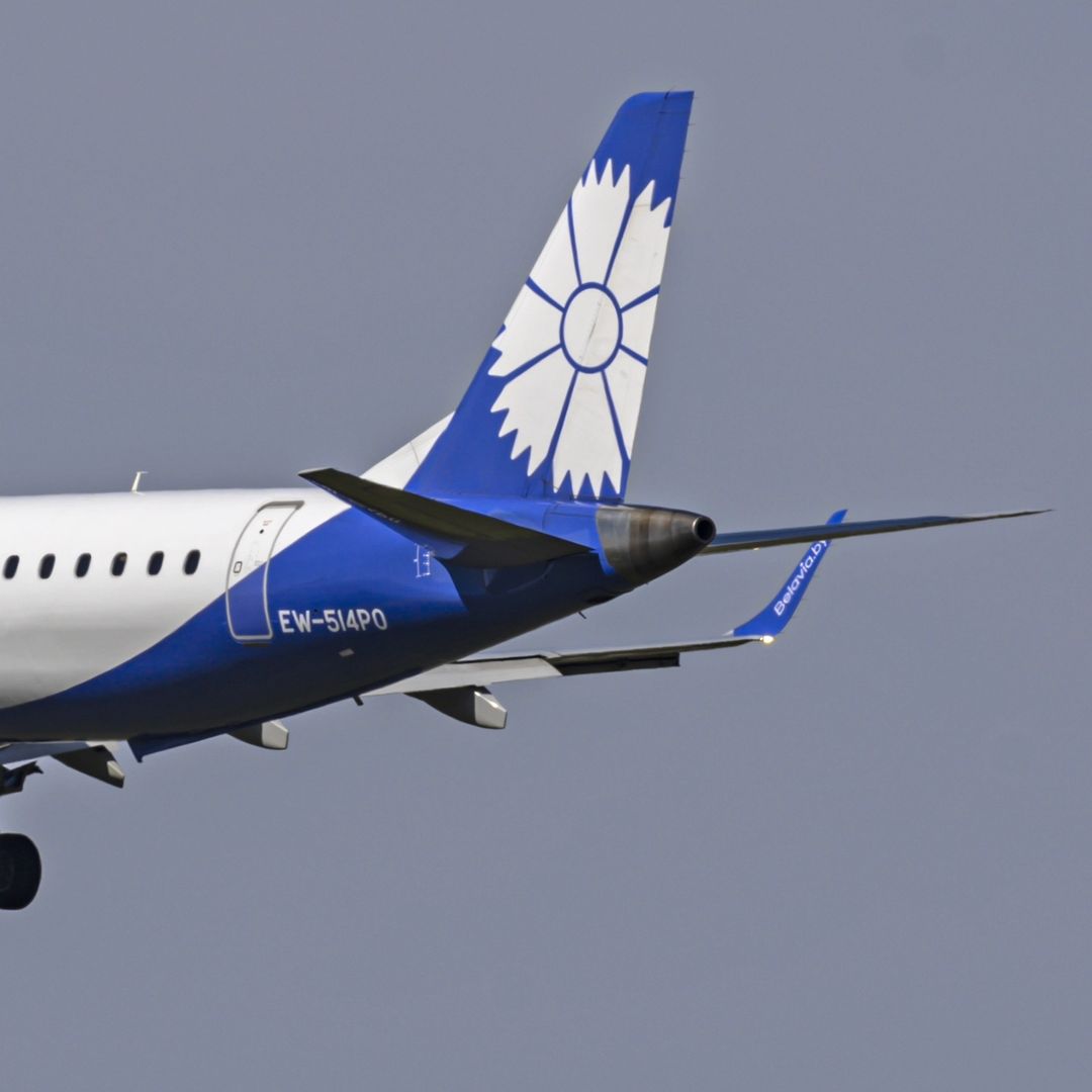 gribosekavia в LOOKY — фото 9