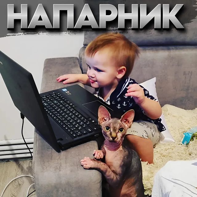 tsyryapro в LOOKY. . 😀Отлучился буквальн...