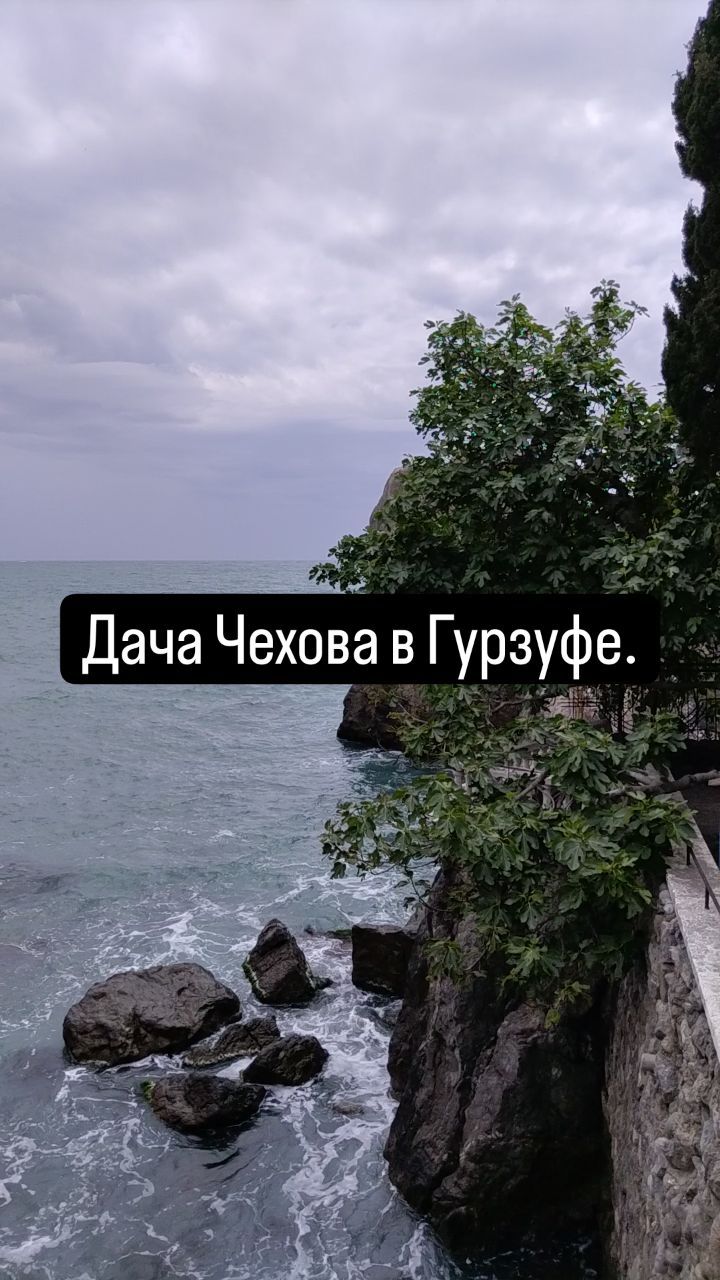 2105265 в LOOKY. . null