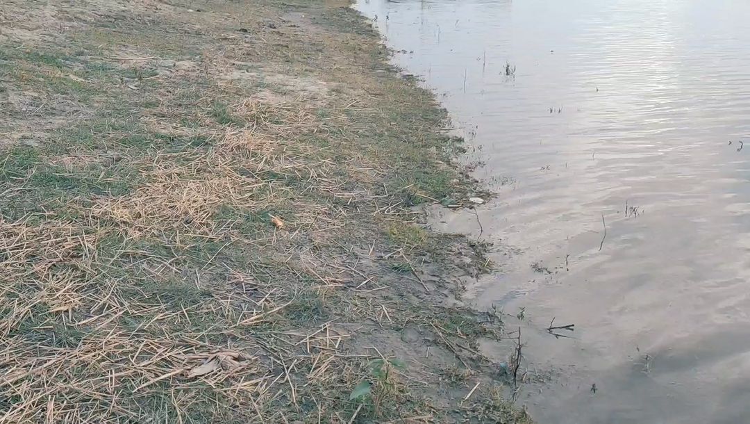 savantrmamun в LOOKY. #riverside,#horselife,#Bangladesh. পড়ন্ত বিকেলে নদীর ত...