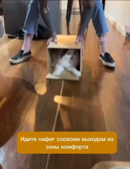 lessundra в LOOKY. . А ты за выход из зон...