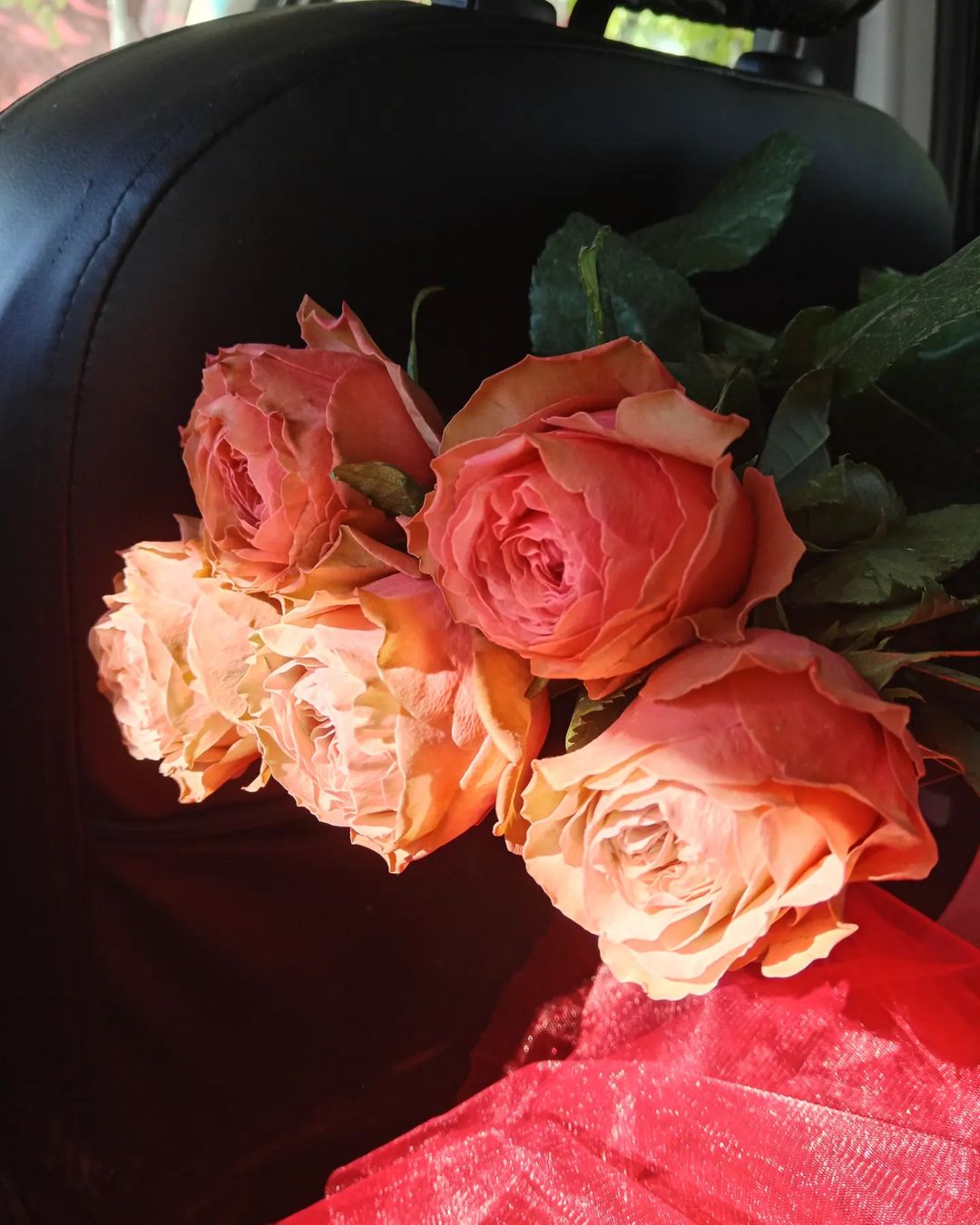 semenova.viks в LOOKY — фото 2